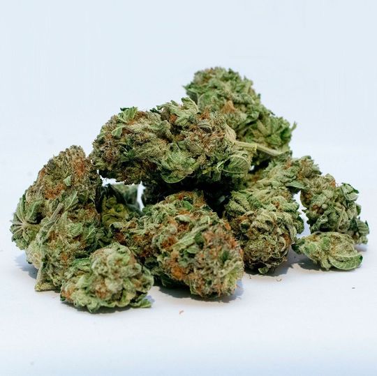 Farmako importiert in den nächsten vier Jahren insgesamt 50 Tonnen pharmazeutisches Cannabis von Pharmacann. Farmako importiert in den nächsten vier Jahren insgesamt 50 Tonnen pharmazeutisches Cannabis von Pharmacann.