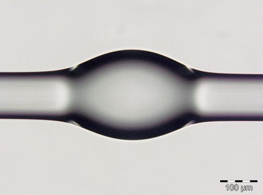 Das Bild zeigt einen strukturierten Glas-Mikroflaschenresonator. Mit dessen Hilfe sollen sich Infektionen frühzeitig erkennen lassen. Das Bild zeigt einen strukturierten Glas-Mikroflaschenresonator. Mit dessen Hilfe sollen sich Infektionen frühzeitig erkennen lassen.