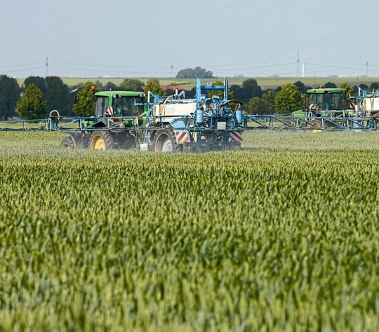 Experten fordern eine neues Zulassungsverfahren für Pestizide. Experten fordern eine neues Zulassungsverfahren für Pestizide.