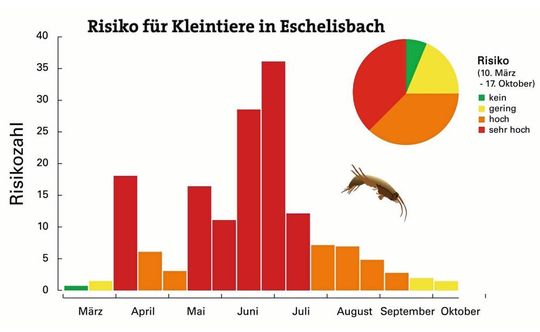 Risiko einer chronischen Schädigung wirbelloser Kleintiere (z.B. Bachflohkrebse) durch Pestizidmischungen im Eschelis-bach/TG vom März bis Oktober 2017. Eine Risikozahl von 1 bedeutet, dass die im Bach gemessenen Konzentrationen gleich hoch sind wie die Umweltqualitätskriterien. Bis zur doppelten Konzentration (Risikozahl 2) geht man noch von einem geringen Risiko aus, bis zur 10fachen von einem hohen und über der 10fachen Konzentration von einem sehr hohen Risiko.