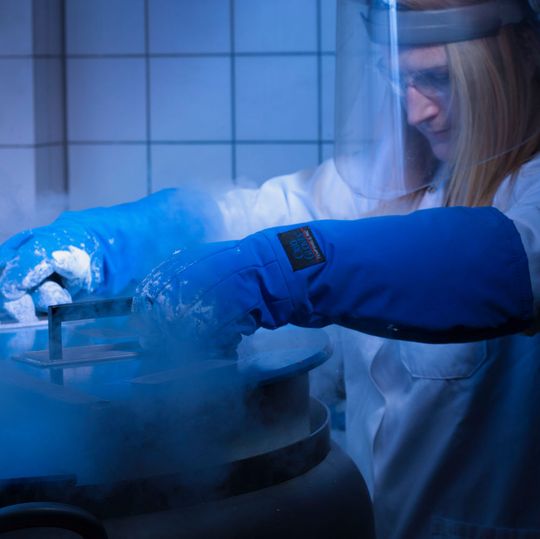 Medigene verkauft seine verbleibenden Rechte und Vorräte für Veregen an Aresus Pharma. (Symbolbild) Medigene verkauft seine verbleibenden Rechte und Vorräte für Veregen an Aresus Pharma. (Symbolbild)