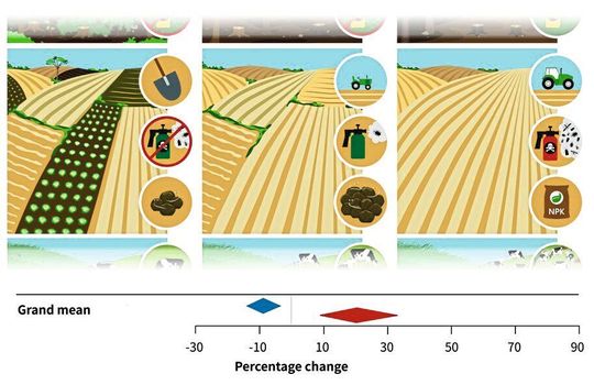 Die Intensität der Landnutzung lässt sich anhand verschiedener Indikatoren ableiten (z.B. manuelle Bearbeitung von Ackerland oder Verzicht auf Pestizide -> niedrige Intensität / Nutzung großer Maschinen und chemischem Dünger -> hohe Intensität). In den drei dominierenden Produktionssystemen (Lebensmittel, Futtermittel, Holz) erhöht die Intensivierung den Ertrag (+ 20,3%, roter Pfeil), führt jedoch auch zu einem Artenverlust (-8,9%, blauer Pfeil).