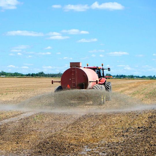 Phosphor zurückzugewinnen wäre nicht nur gut für die Umwelt, es könnte auch die Profite in der Landwirtschaft steigern. Phosphor zurückzugewinnen wäre nicht nur gut für die Umwelt, es könnte auch die Profite in der Landwirtschaft steigern.