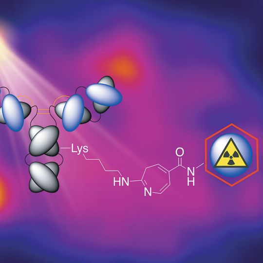 Mithilfe von UV-Licht lassen sich radioaktiv markierte Antikörper in nur 15 Minuten herstellen (Ausschnitt, klicken für vollständiges Bild) Mithilfe von UV-Licht lassen sich radioaktiv markierte Antikörper in nur 15 Minuten herstellen (Ausschnitt, klicken für vollständiges Bild)