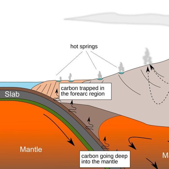 Natural Carbon Capturing by Microbes