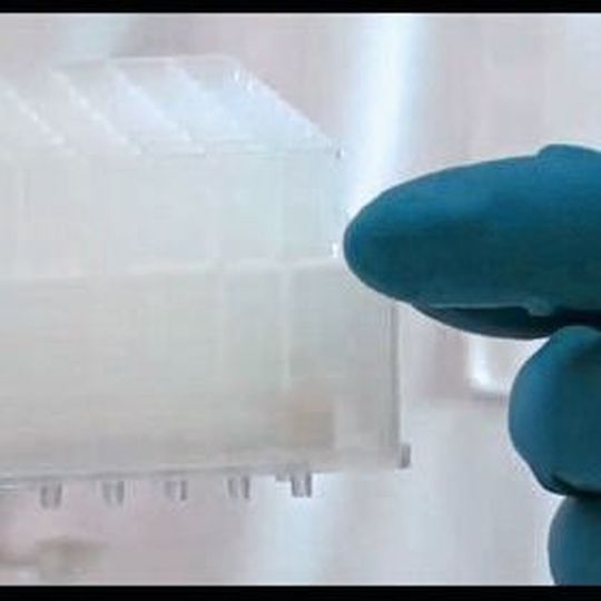 P3 microplate P3 microplate