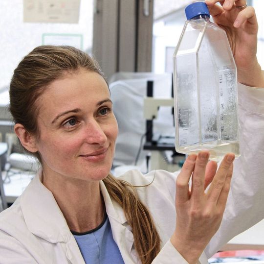 Lena König, Erstautorin der Studie und Doktorandin am Zentrum für Mikrobiologie und Umweltsystemwissenschaft, untersucht die Wechselwirkungen zwischen bakteriellen Endosymbionten und dem Krankheitserreger Legionella pneumophila. Lena König, Erstautorin der Studie und Doktorandin am Zentrum für Mikrobiologie und Umweltsystemwissenschaft, untersucht die Wechselwirkungen zwischen bakteriellen Endosymbionten und dem Krankheitserreger Legionella pneumophila.