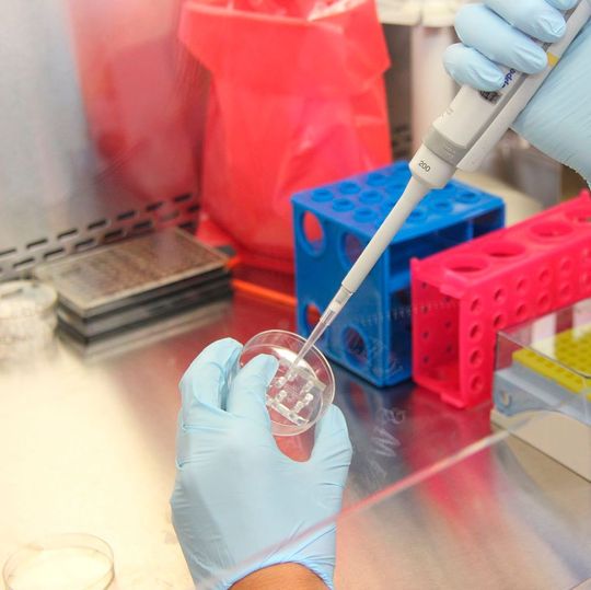 Optima Pharma entwickelt in einem Pilotprojekt mit der Charité ein Konzept für eine Produktionsplattform zur automatisierten Herstellung und Abfüllung von Zell- und Gentherapeutika. Optima Pharma entwickelt in einem Pilotprojekt mit der Charité ein Konzept für eine Produktionsplattform zur automatisierten Herstellung und Abfüllung von Zell- und Gentherapeutika.