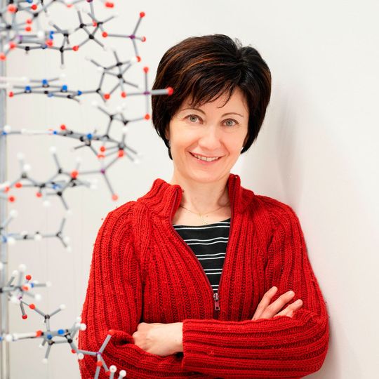 Prof. Dr. Barbara Saccà forscht am Zentrum für Medizinische Biotechnologie (ZMB) der Uni Duisburg-Essen (UDE). Prof. Dr. Barbara Saccà forscht am Zentrum für Medizinische Biotechnologie (ZMB) der Uni Duisburg-Essen (UDE).