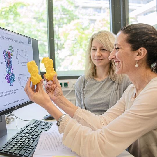 Enrica Bordignon (vorn) und Svetlana Kucher mit einem Modell des Transportproteins, das sie untersucht haben Enrica Bordignon (vorn) und Svetlana Kucher mit einem Modell des Transportproteins, das sie untersucht haben