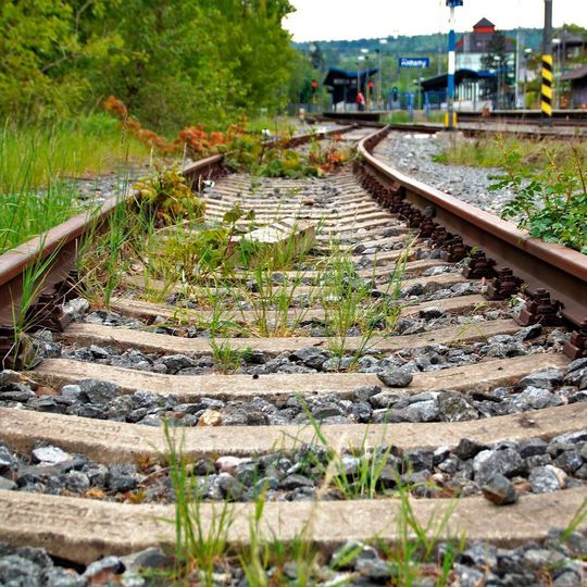 Die Deutsche Bahn will Glyphosat durch alternative Verfahren ersetzen. Die Deutsche Bahn will Glyphosat durch alternative Verfahren ersetzen.