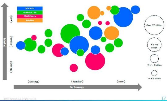 Portfolio of investment plan (Capital investment)