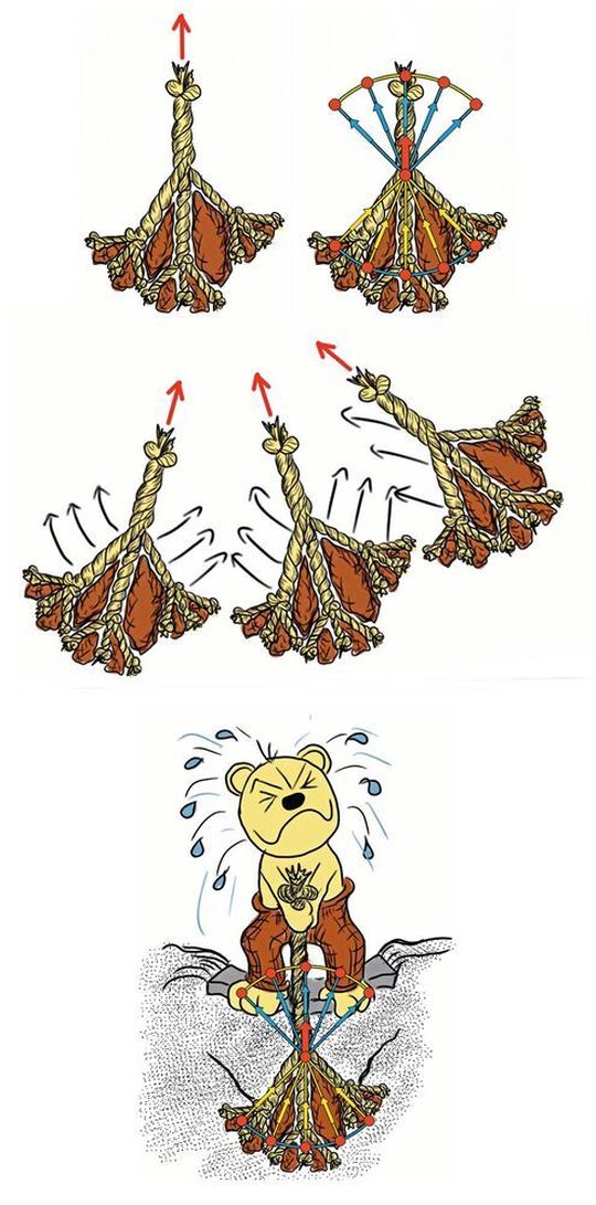 Abb. 2: die Selbstkompression der Wurzelplatte im Kraftkegelmodell. Abb. 2: die Selbstkompression der Wurzelplatte im Kraftkegelmodell.