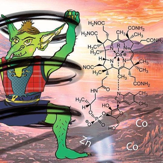 Die Corrin-Helix von Vitamin B12 spannt ein Cobalt-Ion ein und verleiht ihm seine einzigartige, katalytisch wichtige hohe Reaktivität. Die Corrin-Helix von Vitamin B12 spannt ein Cobalt-Ion ein und verleiht ihm seine einzigartige, katalytisch wichtige hohe Reaktivität.