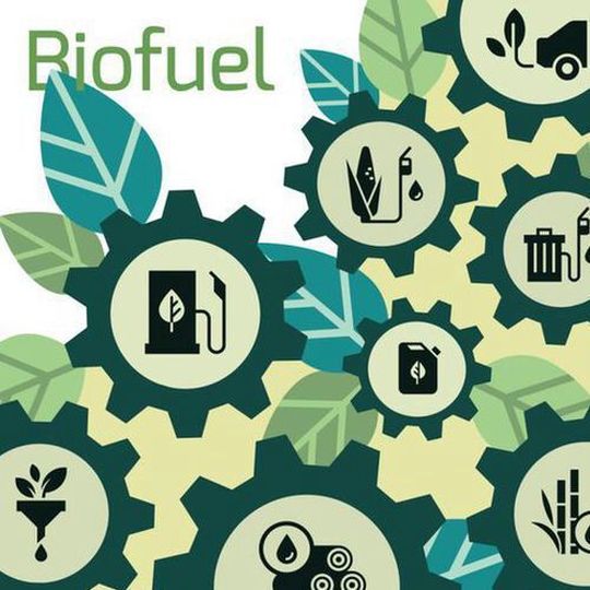 All the oils processed will be certified sustainable to European Union standards. All the oils processed will be certified sustainable to European Union standards.