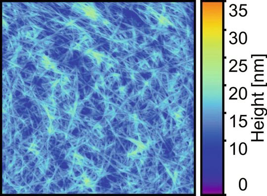Die Untersuchung mit dem Rasterkraftmikroskop zeigt: Das Nano-Papier ist extrem glatt. Die Untersuchung mit dem Rasterkraftmikroskop zeigt: Das Nano-Papier ist extrem glatt.