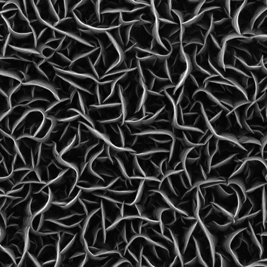 Rasterelektronenmikroskopische Aufnahme der nur wenige Nanometer dünnen Wände aus Kohlenstoff. Rasterelektronenmikroskopische Aufnahme der nur wenige Nanometer dünnen Wände aus Kohlenstoff.