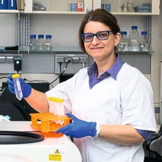Dr. Peggy Stock bei ihrer Arbeit im Labor Dr. Peggy Stock bei ihrer Arbeit im Labor