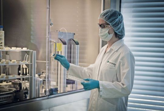 Mit einer Transfektions- und Screening-Plattform ist es möglich, Zellen sehr schnell auch für andere olfaktorische Reize zu modifizieren Mit einer Transfektions- und Screening-Plattform ist es möglich, Zellen sehr schnell auch für andere olfaktorische Reize zu modifizieren