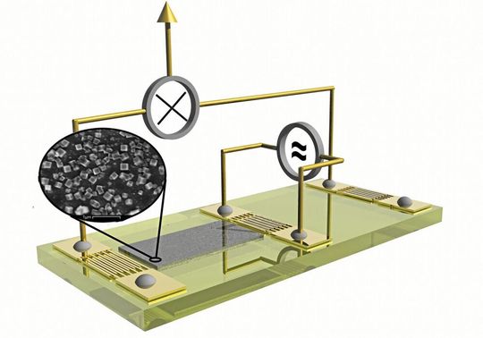 Der Augsburger MOF@SAW-Sensor: Die unterschiedlichen Geschwindigkeiten, mit denen die MOF-gefilterte und die ungefilterte Welle an den Chip-Enden ankommen, weist das Quantensieben in Echtzeit nach.