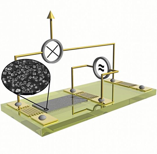 Der Augsburger MOF@SAW-Sensor: Die unterschiedlichen Geschwindigkeiten, mit denen die MOF-gefilterte und die ungefilterte Welle an den Chip-Enden ankommen, weist das Quantensieben in Echtzeit nach. Der Augsburger MOF@SAW-Sensor: Die unterschiedlichen Geschwindigkeiten, mit denen die MOF-gefilterte und die ungefilterte Welle an den Chip-Enden ankommen, weist das Quantensieben in Echtzeit nach.