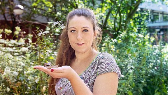 Wencke Krings vom Centrum für Naturkunde erforscht die Zähne und die Raspelzunge von Landschnecken.