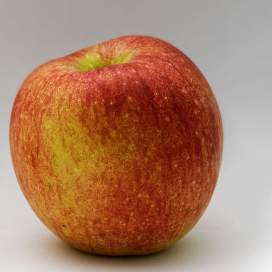 Wissenschaftler der Technischen Universität München (TUM) und des Leibniz-Instituts für Lebensmittel-Systembiologie haben eine neue Methodik zur simultanen Analyse von Geruchs- und Geschmacksstoffen entwickelt. Die Forscher testeten sie an Apfelsaft. (Ausschnitt) Wissenschaftler der Technischen Universität München (TUM) und des Leibniz-Instituts für Lebensmittel-Systembiologie haben eine neue Methodik zur simultanen Analyse von Geruchs- und Geschmacksstoffen entwickelt. Die Forscher testeten sie an Apfelsaft. (Ausschnitt)