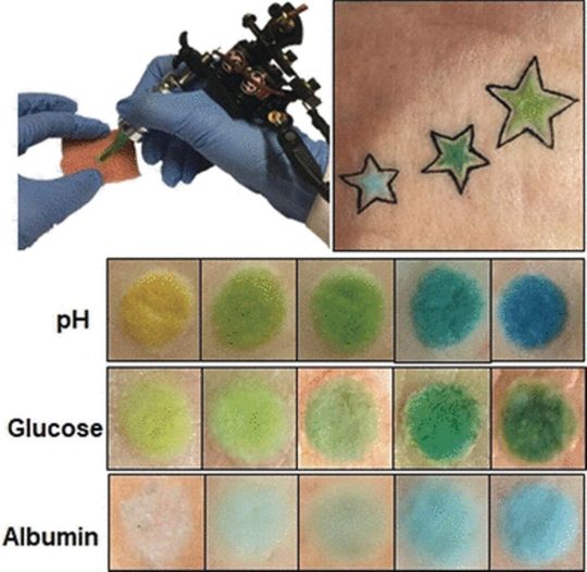 Auf den tätowierten Hautpartien zeigt eine Veränderung des pH-Werts oder der Konzentration von Gesundheitsmarkern einen Farbumschlag. Auf den tätowierten Hautpartien zeigt eine Veränderung des pH-Werts oder der Konzentration von Gesundheitsmarkern einen Farbumschlag.
