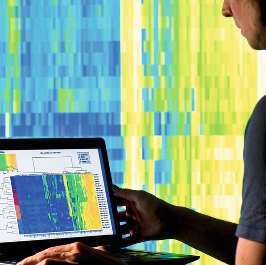 Datenverarbeitung, Analyse und Auswertung des Gentests zur Methylierung sind in einer einzigen Benutzeroberfläche vereint. Datenverarbeitung, Analyse und Auswertung des Gentests zur Methylierung sind in einer einzigen Benutzeroberfläche vereint.