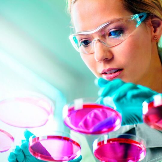 Mit der Übernahmen von Blue Rock Therapeutics erwirbt Bayer die vollständigen Rechte an der Cell+Gene Plattform. Mit der Übernahmen von Blue Rock Therapeutics erwirbt Bayer die vollständigen Rechte an der Cell+Gene Plattform.
