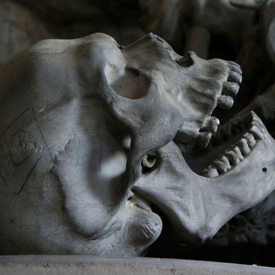 Since the cochlea is among the hardest bones in the skull a new technique can determine the sex of very old fossils, even when fragmentary or immature. Since the cochlea is among the hardest bones in the skull a new technique can determine the sex of very old fossils, even when fragmentary or immature.