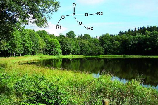 Abb. 1: Allgemeine Strukturformel der Phosphorsäureester. R1, R2 und R3 sind entweder gleiche oder verschiedene organische Substituenten. In allen technisch relevanten Produkten ist R1=R2=R3 (s. Tab. 1). Abb. 1: Allgemeine Strukturformel der Phosphorsäureester. R1, R2 und R3 sind entweder gleiche oder verschiedene organische Substituenten. In allen technisch relevanten Produkten ist R1=R2=R3 (s. Tab. 1).