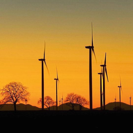 Windkraftanlage: Die Rotorblätter sind enormen Kräften ausgesetzt. Mittels Ultraschall-Scan generierte Bilddaten können die Wartung vereinfachen. Windkraftanlage: Die Rotorblätter sind enormen Kräften ausgesetzt. Mittels Ultraschall-Scan generierte Bilddaten können die Wartung vereinfachen.