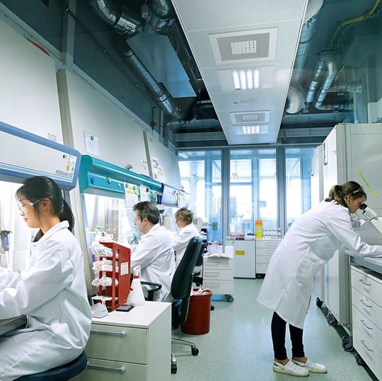 Bayer schließt den Verkauf der Markenikone Coppertone an Beiersdorf ab. Bayer schließt den Verkauf der Markenikone Coppertone an Beiersdorf ab.
