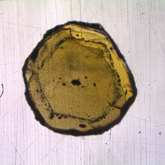 Das Mineral Olivin enthält nur wenige Mikrometer große Schmelzeinschlüsse (schwarze Punkte). Die Geochemiker isolierten diese und untersuchten die isotopische Zusammensetzung mithilfe der Massenspektrometrie. Das Mineral Olivin enthält nur wenige Mikrometer große Schmelzeinschlüsse (schwarze Punkte). Die Geochemiker isolierten diese und untersuchten die isotopische Zusammensetzung mithilfe der Massenspektrometrie.