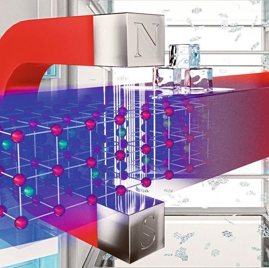 Der magnetokalorische Effekt: In ein Magnetfeld gebracht, ändert sich die Temperatur bestimmter Materialien deutlich. Diesen Effekt wollen Wissenschaftler nutzen, um umweltfreundlichere Kühlgeräte zu bauen. Der magnetokalorische Effekt: In ein Magnetfeld gebracht, ändert sich die Temperatur bestimmter Materialien deutlich. Diesen Effekt wollen Wissenschaftler nutzen, um umweltfreundlichere Kühlgeräte zu bauen.