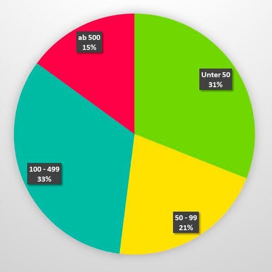 Mitarbeiterzahl der befragten Unternehmen. Mitarbeiterzahl der befragten Unternehmen.