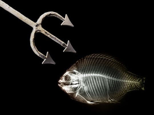 Spear Phishing hat leider ein hohe Erfolgsquote. Spear Phishing hat leider ein hohe Erfolgsquote.