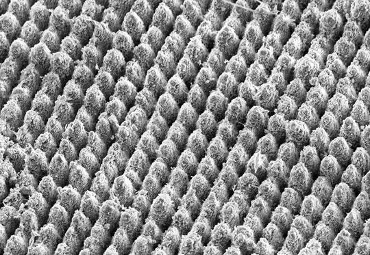 Die mit einem Laser bearbeitete Aluminiumoberfläche ist wasser- und eisabweisend. Der Abstand der einzelnen Strukturelemente (Abstand „Berg“ zu „Berg“) beträgt 7 Mikrometer. Zum Vergleich: Ein menschliches Haar hat einen Durchmesser von 50 bis 80 Mikrometern. Die mit einem Laser bearbeitete Aluminiumoberfläche ist wasser- und eisabweisend. Der Abstand der einzelnen Strukturelemente (Abstand „Berg“ zu „Berg“) beträgt 7 Mikrometer. Zum Vergleich: Ein menschliches Haar hat einen Durchmesser von 50 bis 80 Mikrometern.