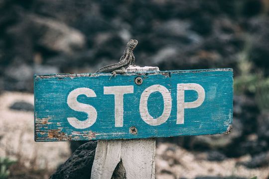 Stoppt den Kennzahlenalbtraum: Am meisten profitieren Unternehmen von Kennzahlen, wenn diese im großen Maßstab reduziert werden. Stoppt den Kennzahlenalbtraum: Am meisten profitieren Unternehmen von Kennzahlen, wenn diese im großen Maßstab reduziert werden.