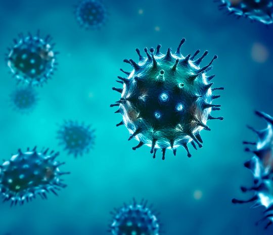 Das Influenzavirus ändert seine Virusbestandteile regelmäßig. Dies machte bisher eine jährliche Impfung nötig. Das Influenzavirus ändert seine Virusbestandteile regelmäßig. Dies machte bisher eine jährliche Impfung nötig.