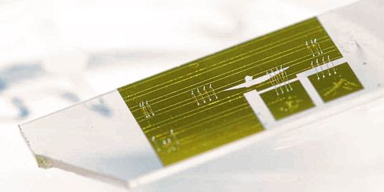 Mit diesem ca. 2 cm langen Chip lässt sich das Wellenspektrum von Infrarotlicht präzise aufschlüsseln. Mit diesem ca. 2 cm langen Chip lässt sich das Wellenspektrum von Infrarotlicht präzise aufschlüsseln.