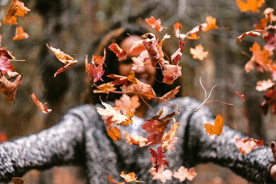 Mit diesen Gadgets macht der Herbst so richtig Spaß! Mit diesen Gadgets macht der Herbst so richtig Spaß!