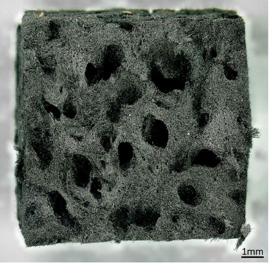 Der Kohlenstoffschwamm ähnelt der Form und der Mikroarchitektur des ursprünglichen Spongin-Gerüsts und ist so stabil, dass er sich mit einer Metallsäge zu beliebigen Formen schneiden lässt.