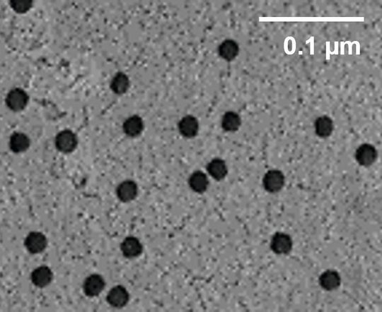 Abb. 1: Rasterelektronenmikroskopische Aufnahme der Oberfläche der Polymerfolie mit Nanoporen. Abb. 1: Rasterelektronenmikroskopische Aufnahme der Oberfläche der Polymerfolie mit Nanoporen.