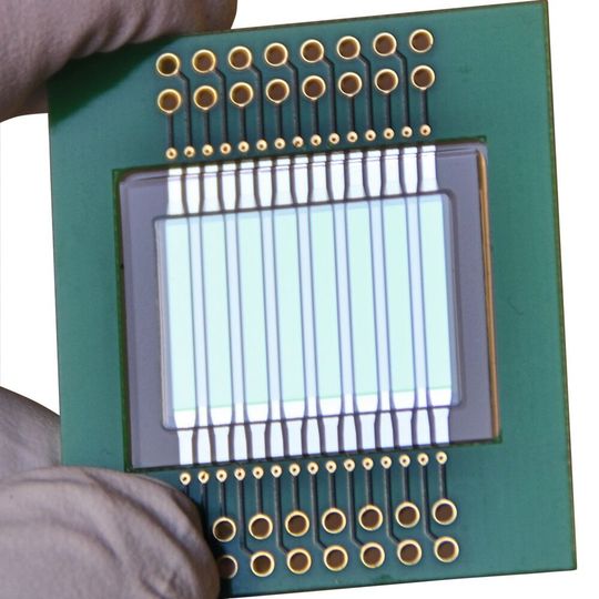 Der optische Sensor für Milchschnelltests vom Fraunhofer FEP Der optische Sensor für Milchschnelltests vom Fraunhofer FEP