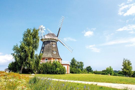 Im Jahr 1745 erfand Edmund Lee eine Vorrichtung (zweites kleines Windrad), die es ermöglicht, dass sich die Windmühle selbstständig in den Wind dreht. Im Jahr 1745 erfand Edmund Lee eine Vorrichtung (zweites kleines Windrad), die es ermöglicht, dass sich die Windmühle selbstständig in den Wind dreht.