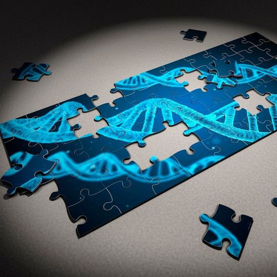 The CRISPR/Cas9 system, a.k.a. ‘the gene snipper’, can be modified and used to alter the expression of thousands of different proteins. The CRISPR/Cas9 system, a.k.a. ‘the gene snipper’, can be modified and used to alter the expression of thousands of different proteins.