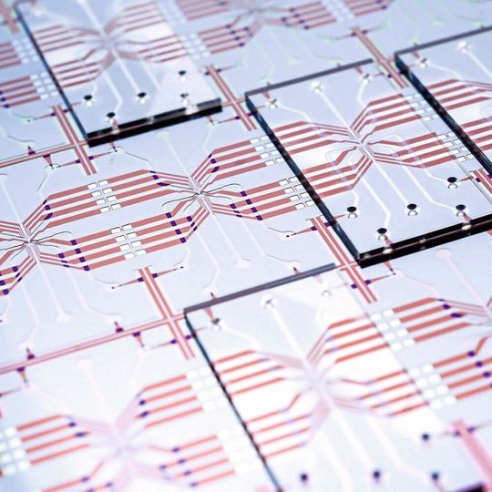 Bild 1: Mit dem „Cell Sorter Chip“ ist es möglich, einzelne Zellen aus einer Probe zu sortieren. Die Skalierbarkeit der Siliziumtechnologie macht das Lab-on-a-Chip massentauglich. Bild 1: Mit dem „Cell Sorter Chip“ ist es möglich, einzelne Zellen aus einer Probe zu sortieren. Die Skalierbarkeit der Siliziumtechnologie macht das Lab-on-a-Chip massentauglich.