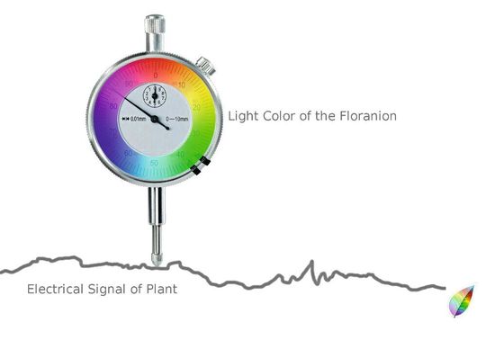 Bild 2: Die Elektrodermale Aktivität der Pflanze wird als Farbänderung einer RGB-LED angezeigt.